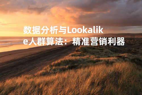 数据分析与 Lookalike 人群算法：精准营销利器