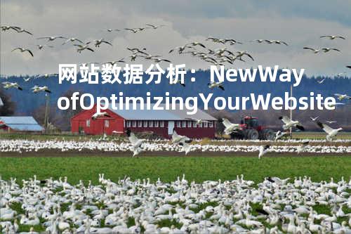 网站数据分析：New Way of Optimizing Your Website