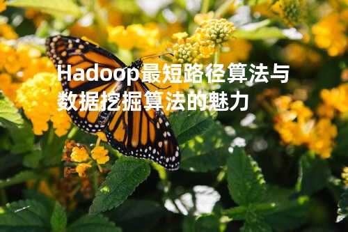 Hadoop 最短路径算法与数据挖掘算法的魅力