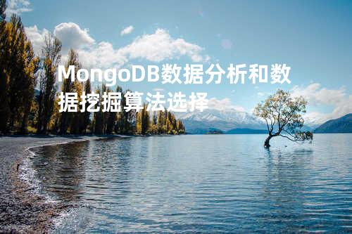 MongoDB 数据分析和数据挖掘算法选择